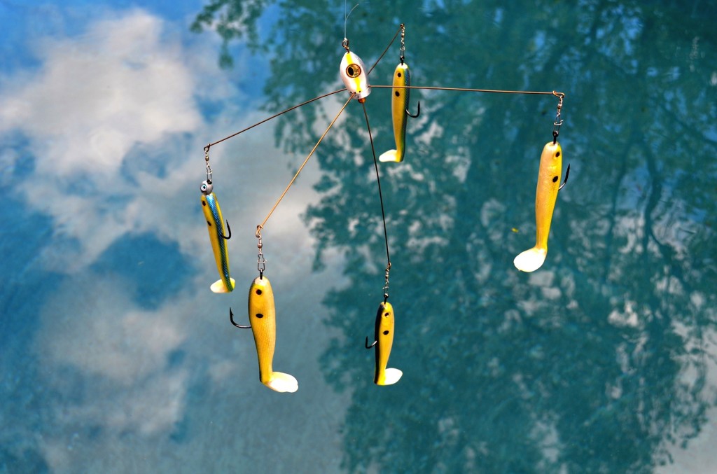 bait ball